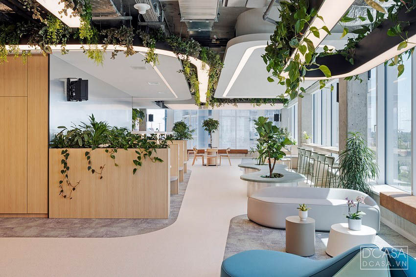 Thiết kế nội thất văn phòng xanh ECOLIFE