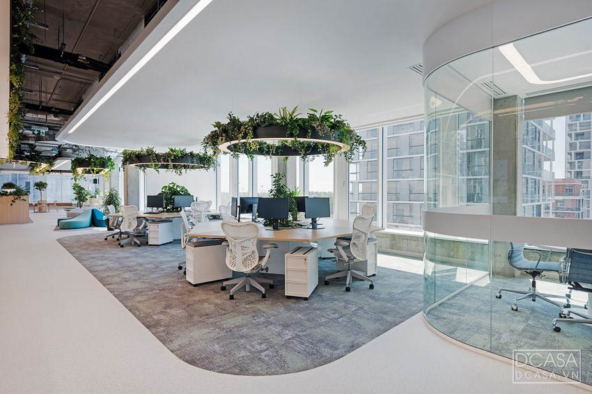 Thiết kế nội thất văn phòng xanh công ty ECOLIFE