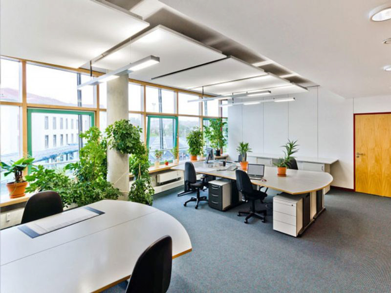 Thiết kế văn phòng xanh - Xu hướng mang phong cách hiện đại