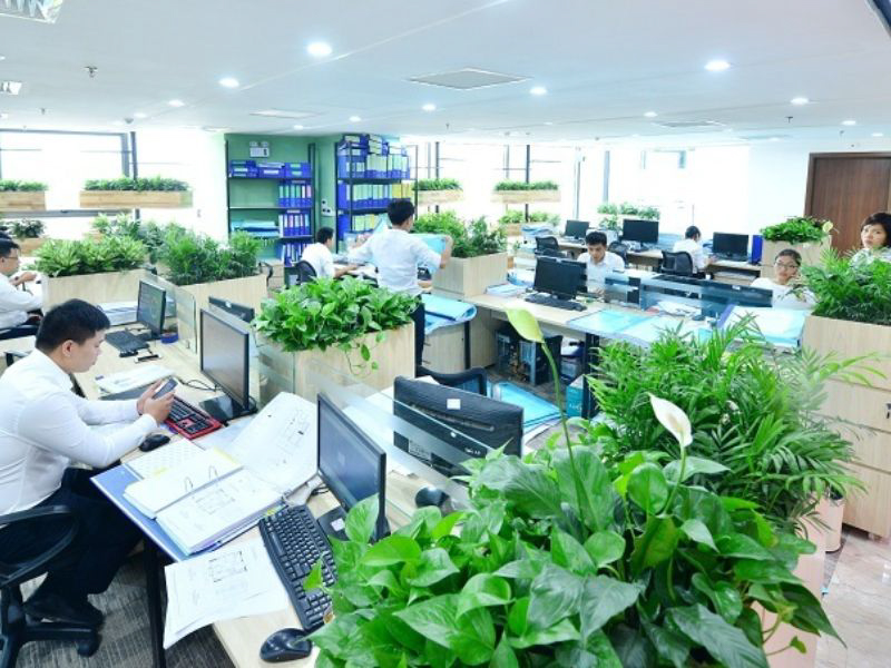Thiết kế văn phòng xanh - Xu hướng mang phong cách hiện đại